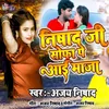 About Nishad Ji Sofa Pe Aai Maja Song